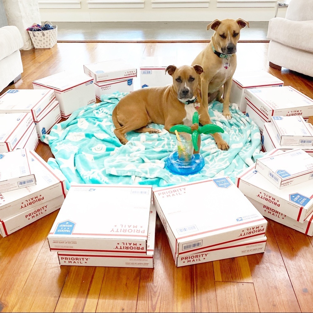 FOLLOW MY CUTE PAWSH ASSISTANTS! 🐶🐶🛍👑🐝 - Picture 8 of 16